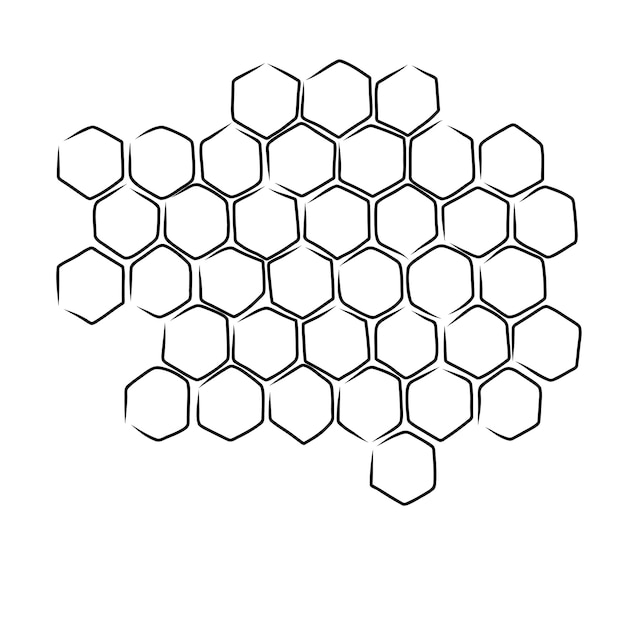 propolis honey comb sketch style. hand drawn honeycomb. Black and white image bee wax. Bee honey