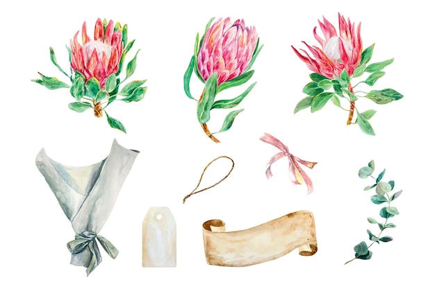 Vector protea watercolor banner for text eucalyptus branch set pink flowers cards invitations banners label