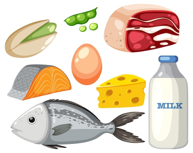 Protein foods group on white background