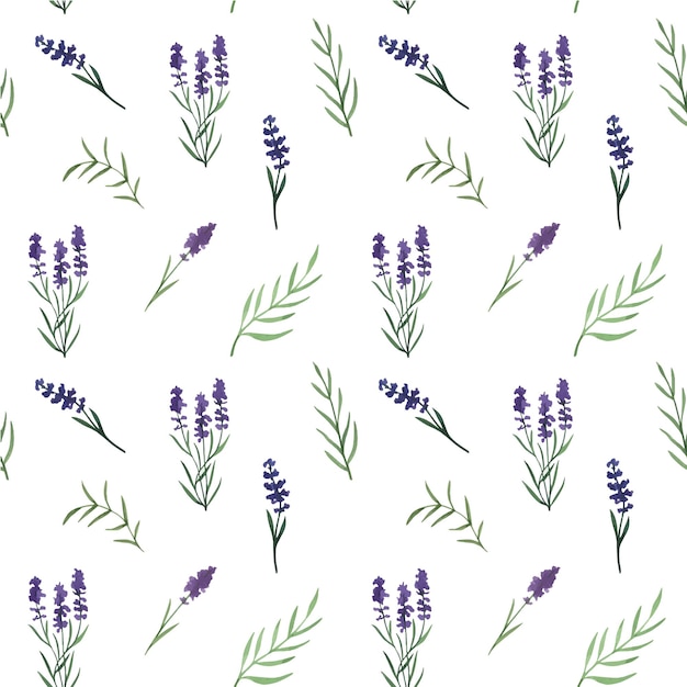 Provence lavender flowers and leaves seamless pattern Hand drawn summer watercolor