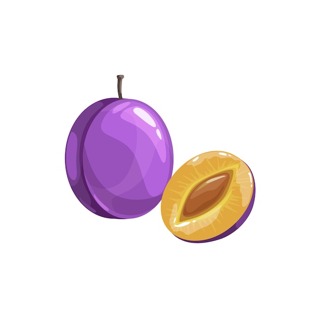 Prunes or plum fruit, ripe garden vector plant, organic production. Cartoon juicy natural healthy farm damson whole and half piece with stem and pit isolated design element on white background