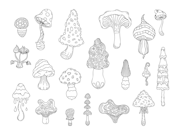 Psychedelic mushrooms Abstract hand drawn coloring amanita and hipppie fungi stylized linear magic mushrooms graphic Vector isolated set