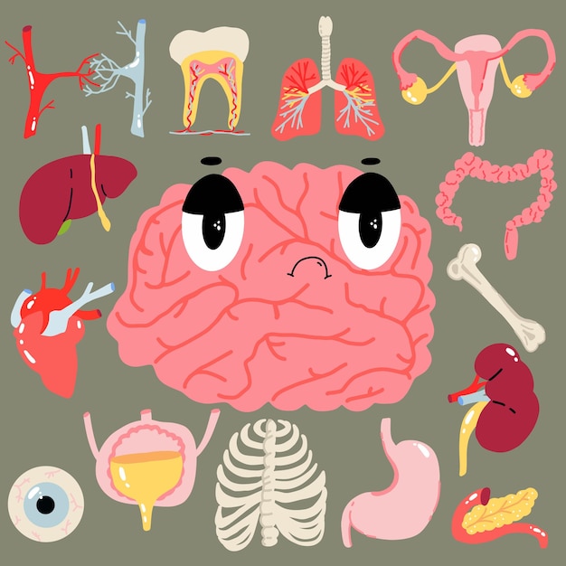 Psychosomatics concept, vector illustration in flat style. Human organs set, anotomy