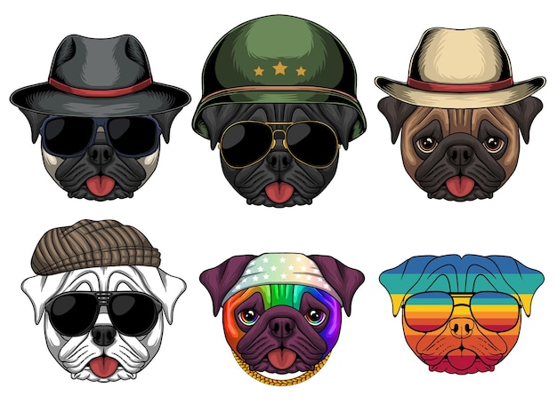 Pug dog fashion set collection