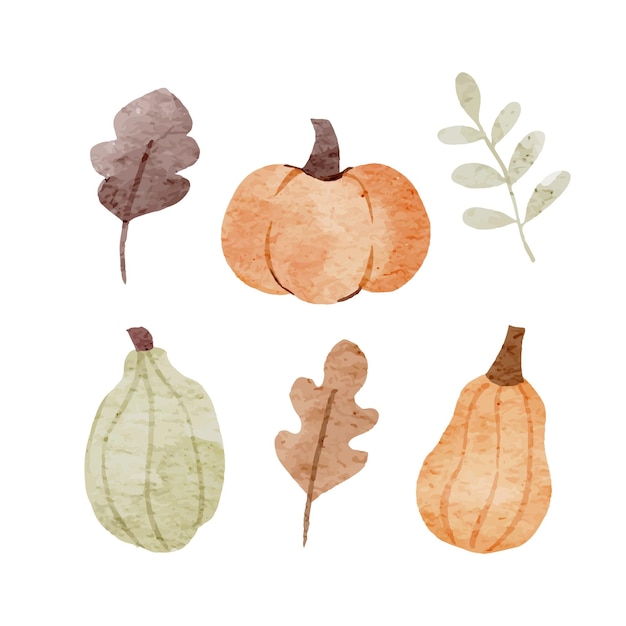 Pumpkin and Autumn Leaves Element Pack Hand drawn in Watercolor Style