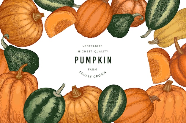 Pumpkin color design template. Vector hand drawn illustrations. Thanksgiving backdrop in retro style with pumpkin harvest. Autumn background.