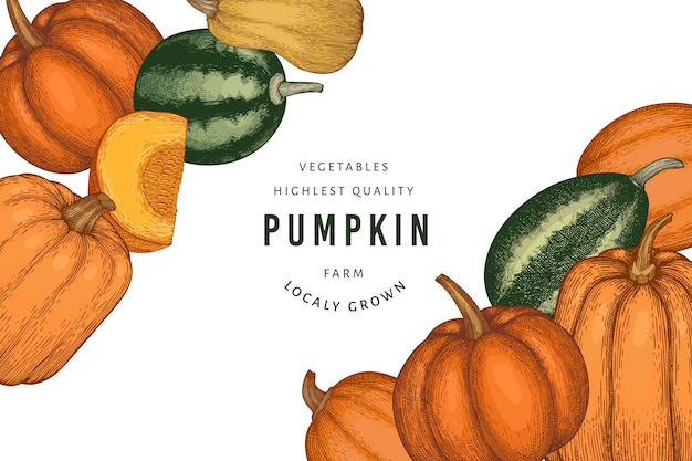 Pumpkin color hand drawn illustrations. Thanksgiving backdrop in retro style with pumpkin harvest. Autumn background.