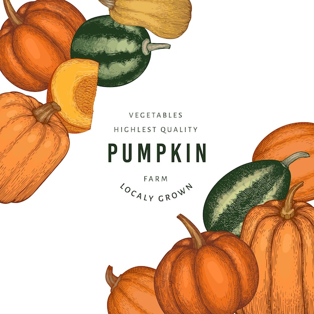 Pumpkin color  template.  hand drawn illustrations. Thanksgiving backdrop in retro style with pumpkin harvest. Autumn background.