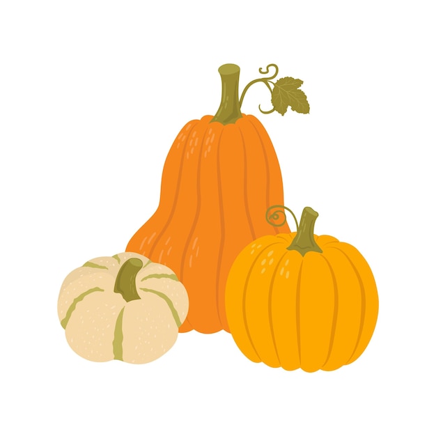 Pumpkin comosition flat vector illustration. Agricultural produce various shape. Autumn vegetables