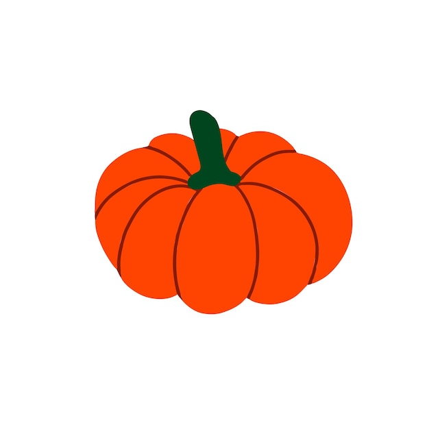 Pumpkin for Halloween and thanksgiving day