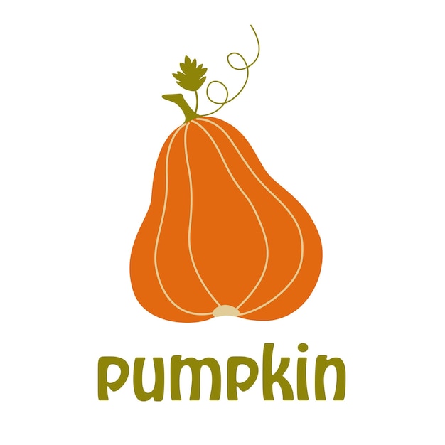 Pumpkin icon, autumn harvest vegetables.