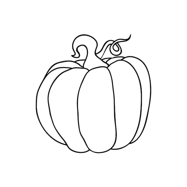 Pumpkin icons big round fruit in simple line drawings Vector illustration of pumpkin for Halloween or harvest badges for labels packaging