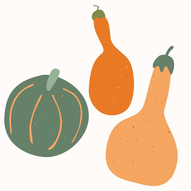 Pumpkin is a natural vegetable, hand-drawn vector illustration isolated on a white background.