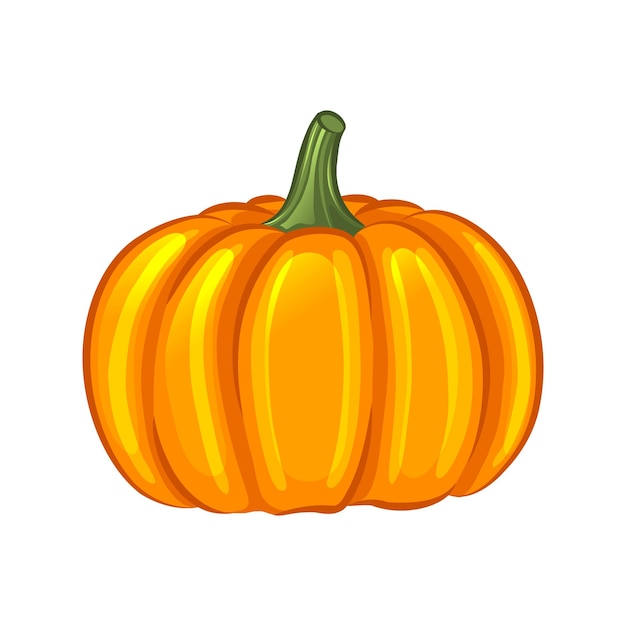 Pumpkin isolated on white background. A cartoon illustration.