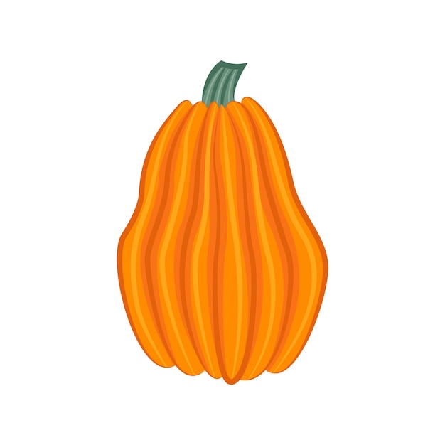 Pumpkin isolated on white background. Cartoon style. Decorative for Halloween or thanksgivin