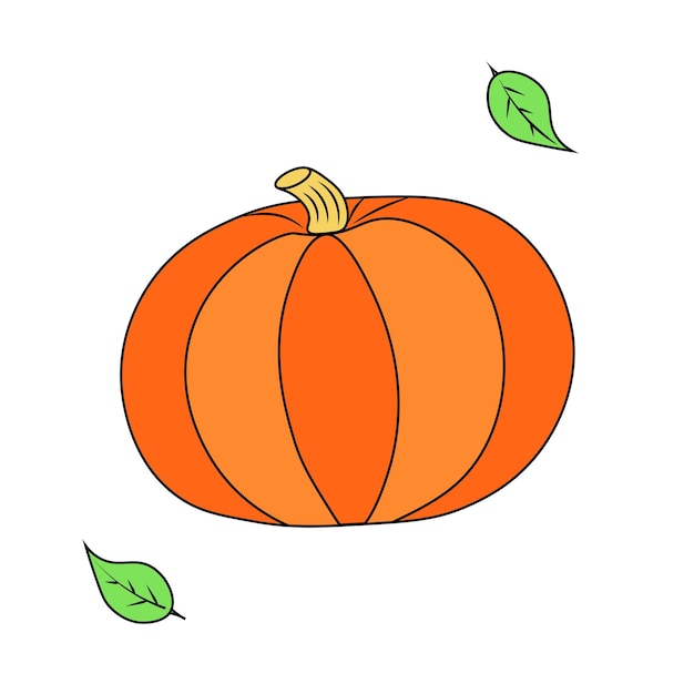 Pumpkin isolated on white background Illustration for Halloween Hand drawn illustration for printing backgrounds wallpapers covers packaging greeting cards posters stickers textile