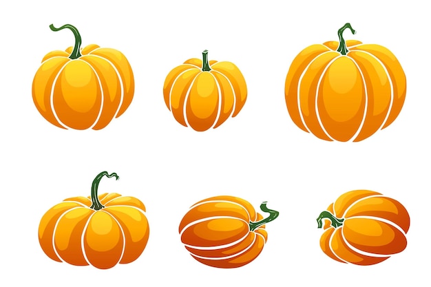 Pumpkin isolated on white background