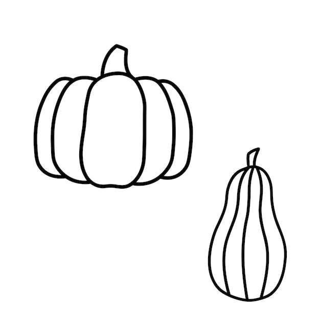 Pumpkin line doodle Vector outline hand drawn pumpkin isolated on white background