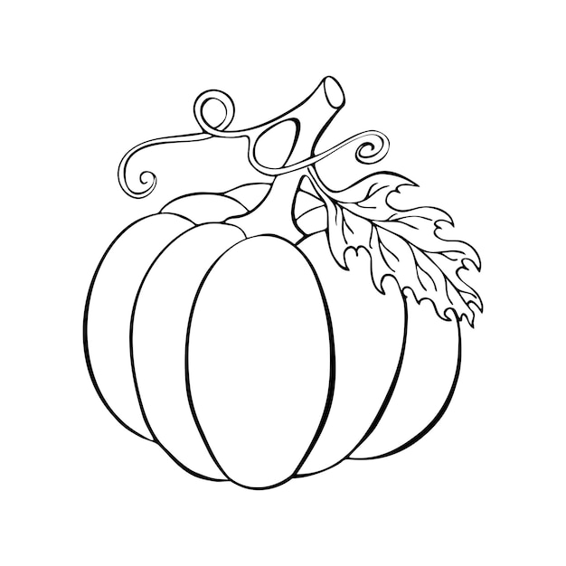 Pumpkin outline drawing doodle, halloween, black color silhouette, isolated, white background