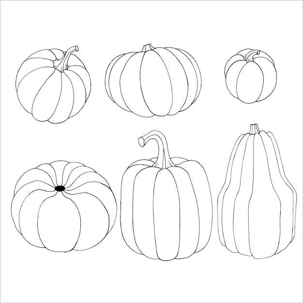 Pumpkin outline EPS