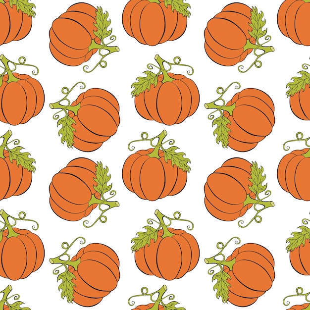 Pumpkin pattern coloring orange and green, white background. Doodle hand drawn.