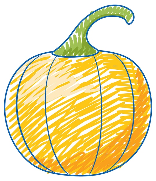 Pumpkin in pencil colour sketch simple style