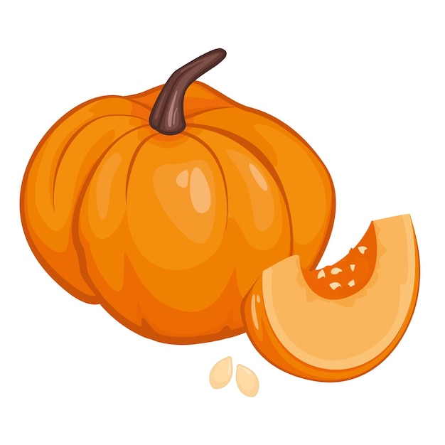 Pumpkin, pumpkin pieces, pumpkin seeds. Autumn background, vector, white background.