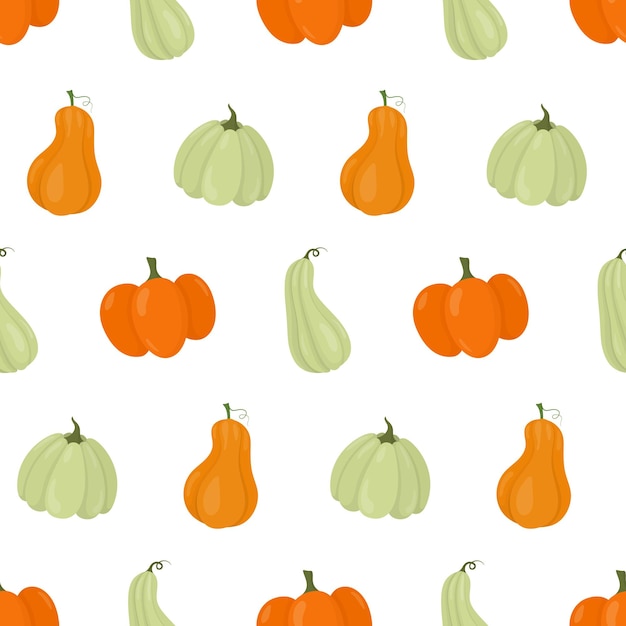 Pumpkin seamless pattern Colorful pumpkins on a white background Vector