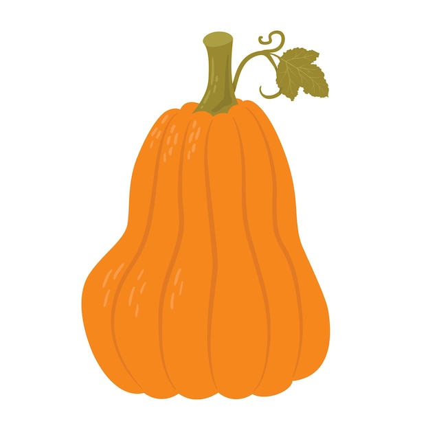 Pumpkin season hand draw vector illustration