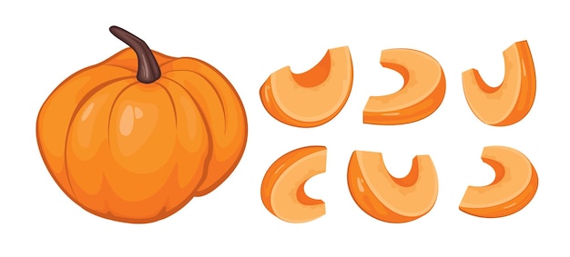 Pumpkin, set, pumpkin pieces, pumpkin seeds. Autumn background, vector, white background.