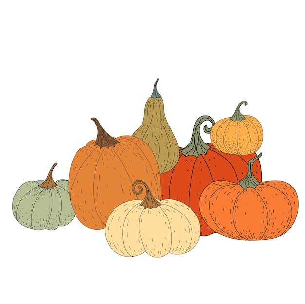 Pumpkin. Set of pumpkins. Harvesting. Farm. Holiday. Autumn. Flat illustration. Vector.