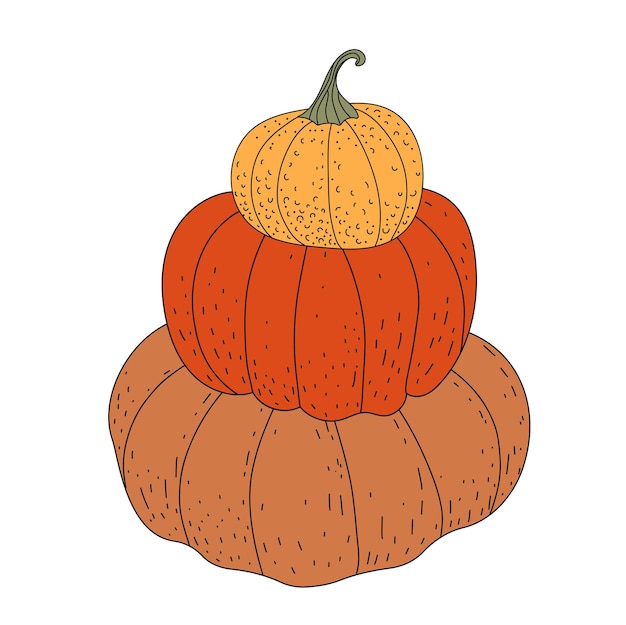 Pumpkin. Set of pumpkins. Harvesting. Farm. Holiday. Autumn. Flat illustration. Vector.