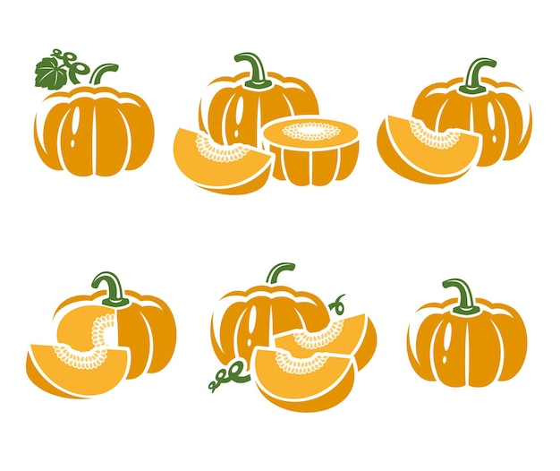 Pumpkin set Vector