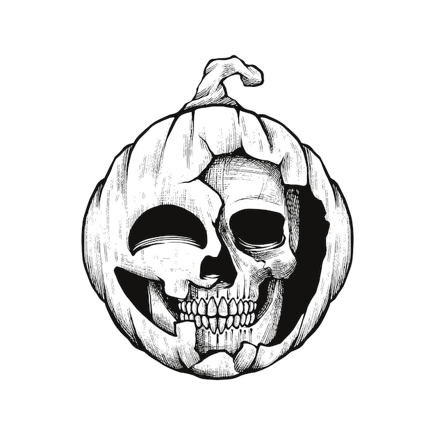 Vector pumpkin skull hand drawn engraving pen and ink vintage vector illustration