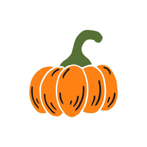 Pumpkin Thanksgiving and Halloween Elements Hand drawn vector illustration