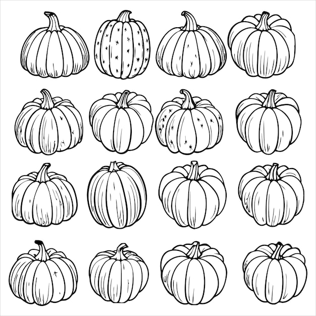 Pumpkin Vector Art and Illustration