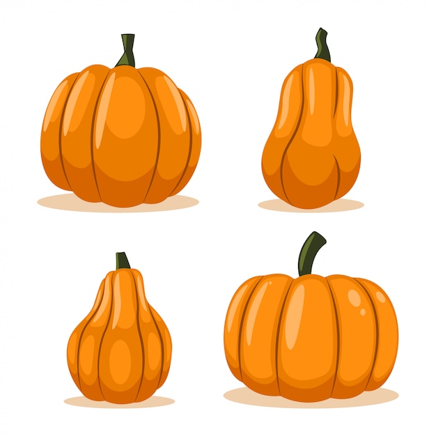 Pumpkin vector cartoon set isolated on white background.