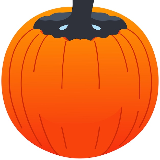 Pumpkin Vector Illustration