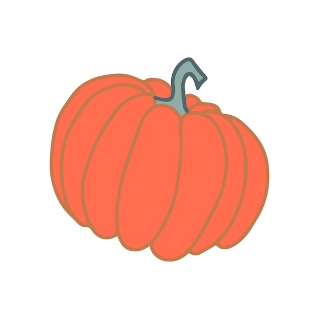 Pumpkin vegetable vector hand drawn illustration seasonal autumn harvest