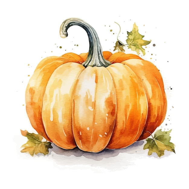 Pumpkin watercolor clipart