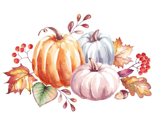 Pumpkin Watercolor clipart