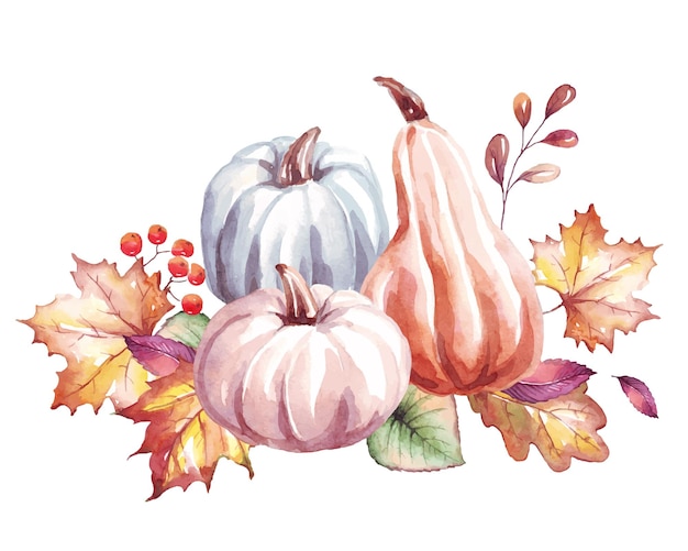 Pumpkin Watercolor clipart