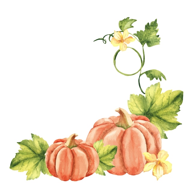 Pumpkin watercolor corner compositions hand drawn vegetable botanical illustration isolated on white