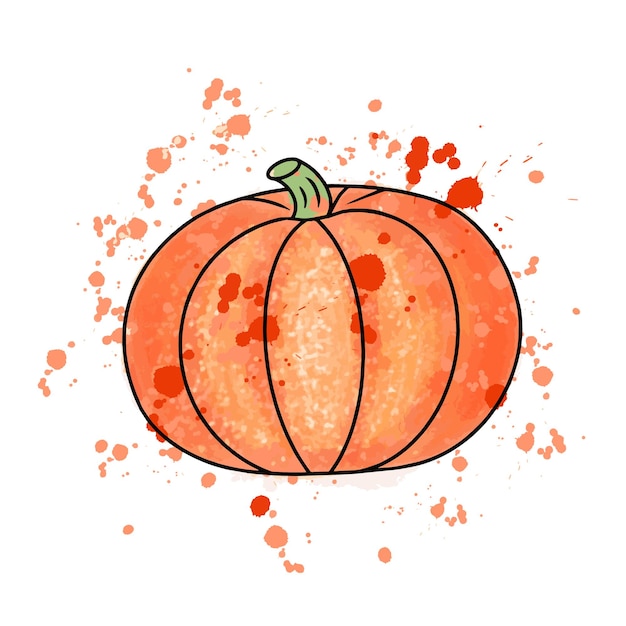 Pumpkin watercolor Digital tracing illustration