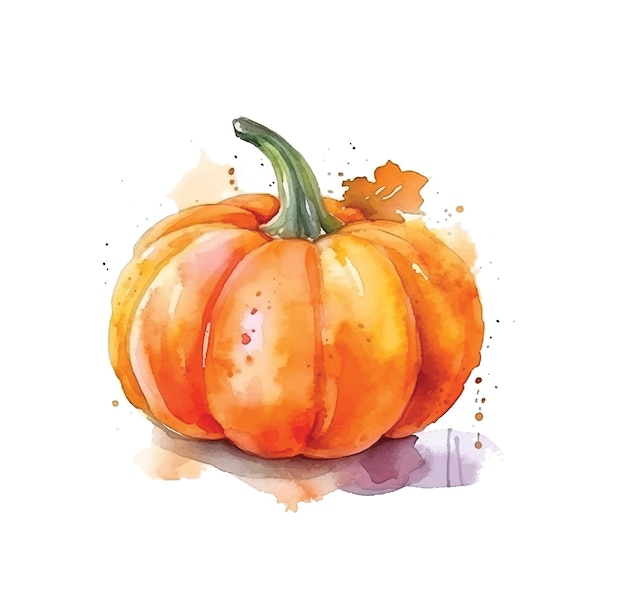 Pumpkin watercolor paint