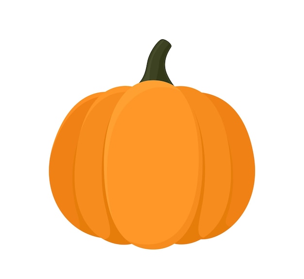 Pumpkin on white background Vector illustration of cartoon organic vegetable