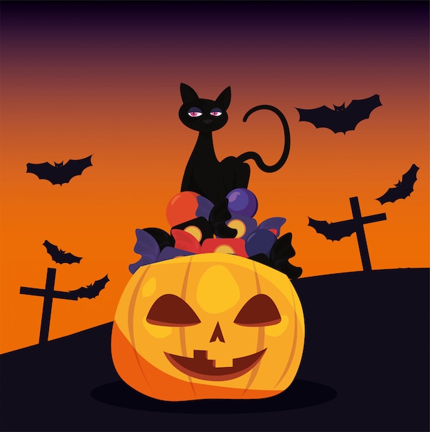 Pumpkin with black cat in scene of halloween