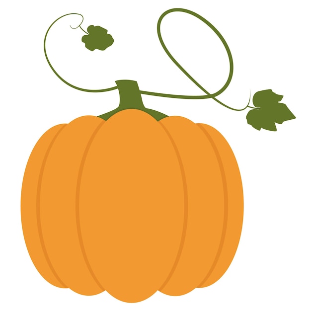 Pumpkin with leaves isolated on a white background Autumn vegetable rich in vitamins Flat Vector