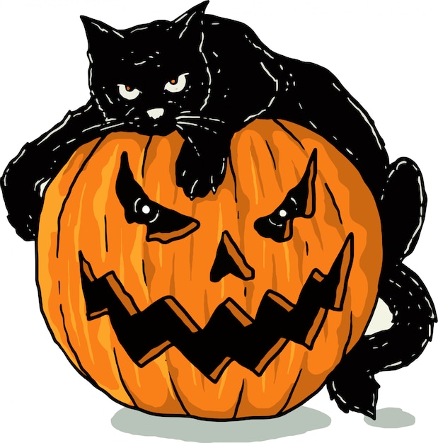 Pumpkins and black cat