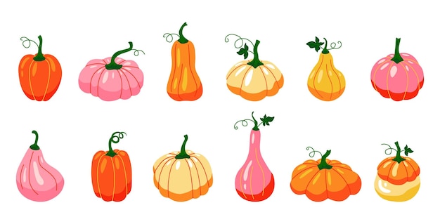 Pumpkins Cartoon autumn vegetables farm organic product colourful bright collection Vector isolated set